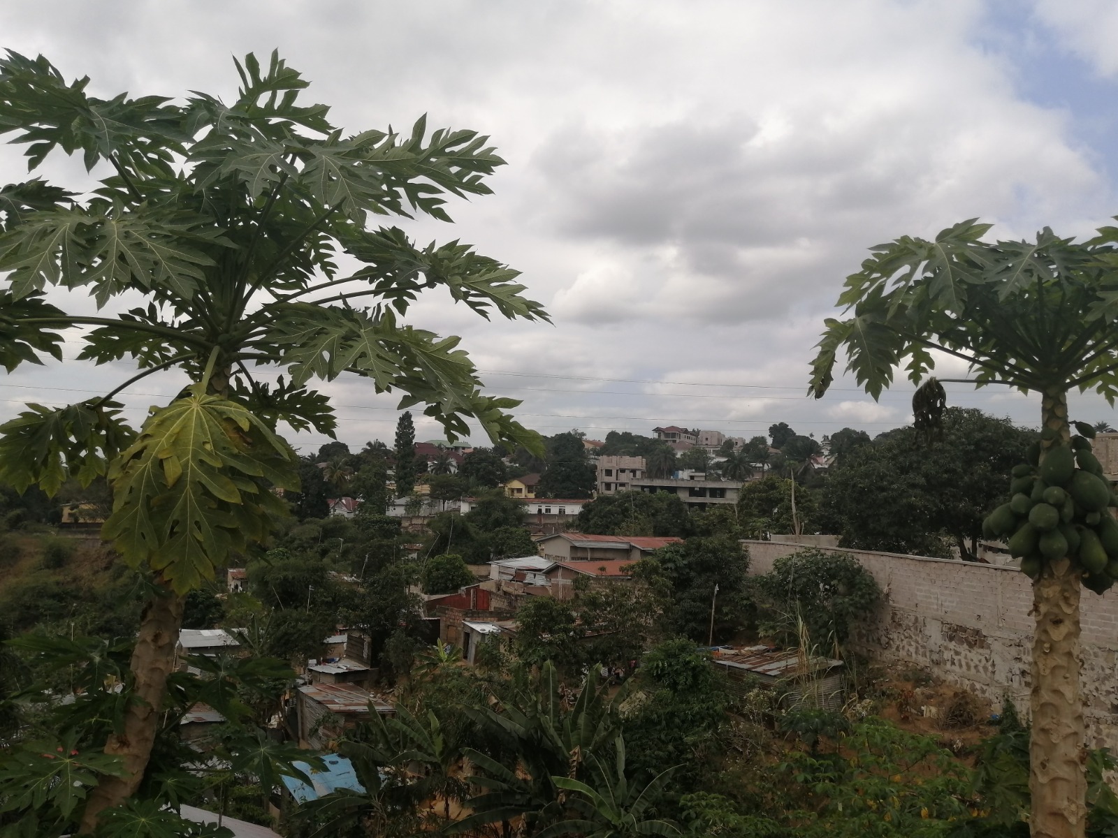 Fieldwork in the DR Congo
