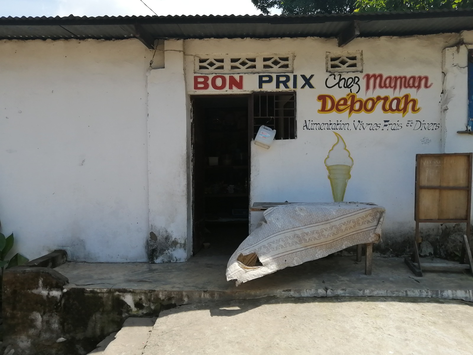 Fieldwork in the DR Congo